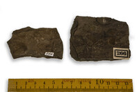 F 00266
<br/>
<br/>
<em></em>